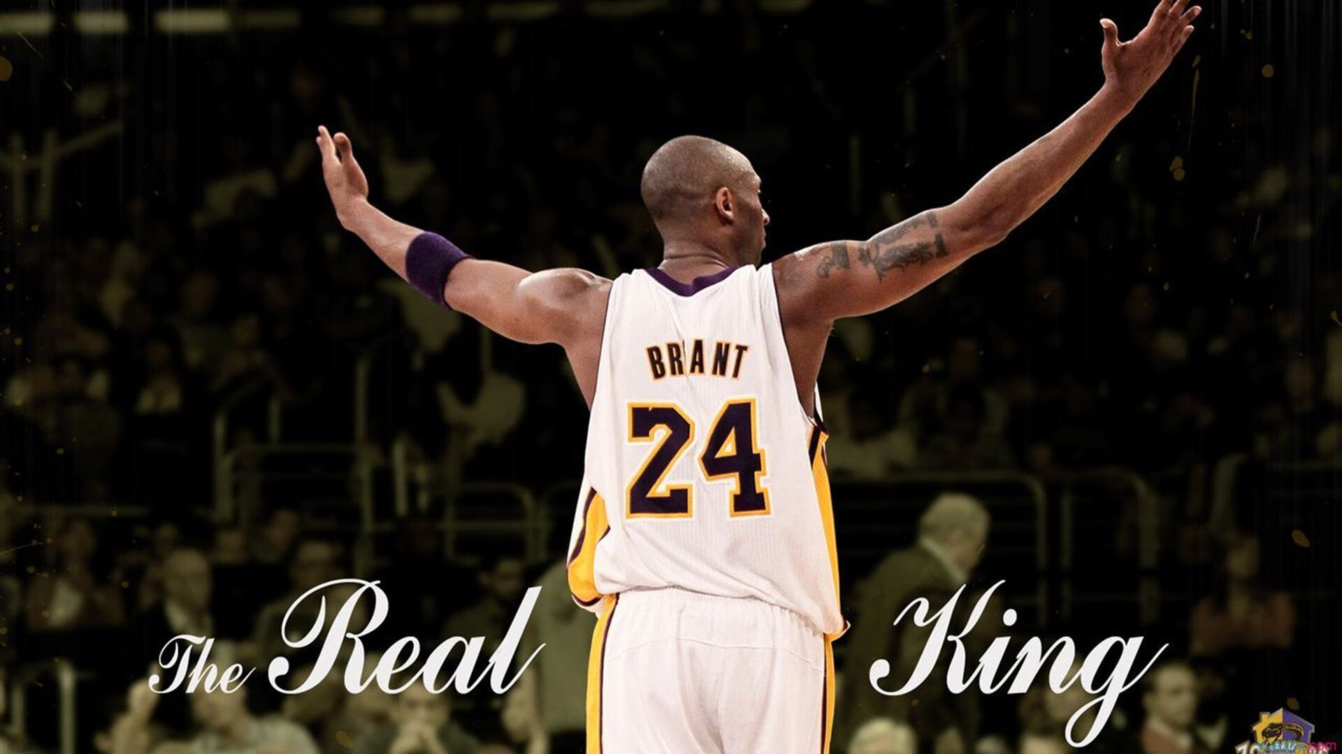 冷月之下，欧文亮剑，年度焦点战的终场绝响